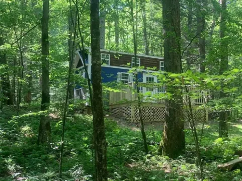 Porcini - Creekside Tiny House #2