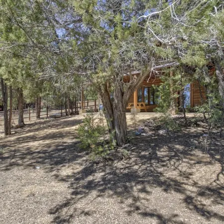 Bison Ridge 4 BR, 4BA Cabin with National Forest access and views!