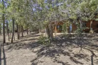 Bison Ridge 4 BR, 4BA Cabin with National Forest access and views!