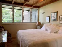 Maui Turtle Condo - Near Kaanapali Beach/Napili Bay, Ocean Front, Turtles