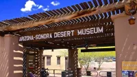 Authentic Tucson Experience: Mud Adobe Casita Nestled in Canyon Among Wildlife