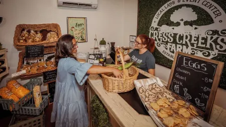 🐑 Ellijay Sheep farmhouse experience! Farm stay, explore, feed the animals