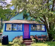 Downtown Vintage Home