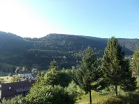 3-room apartment in "Les Pommes de Pin" chalet, with terrace and garden