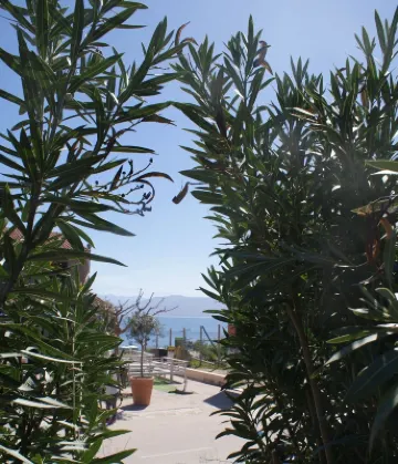 Facing the sea, 30 m from the beach, luxury villa, air-conditioned Hôtels à : Serra-di-Ferro