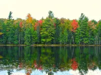 Tranquil Privacy Hotels in Newbold