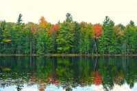 Tranquil Privacy