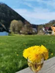 Diemelwöhnchen - holiday in every season