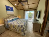 MI Oasis Getaway! Just 200 Steps to the Beach on a very quiet street Hotels in Anna Maria
