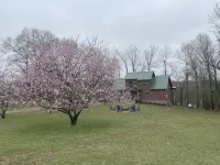 Relax and Unwind on the Caddo River in Beautiful Arkansas! Book Now!