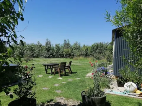 Willow Tree Shepherd's Hut with optional hot tub and shared EV charger. Отели в г. Бьюд