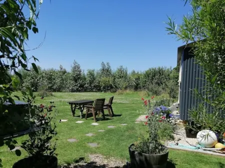 Willow Tree Shepherd's Hut with optional hot tub and shared EV charger.
