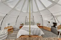 Stargazer Tent on Ischua Creek @ Campground Adventures