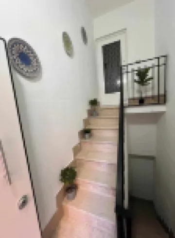 Old Port la Marina - Luna