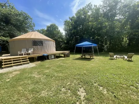 Pet friendly glamping in a private yurt with stunning 360° views by Forest
