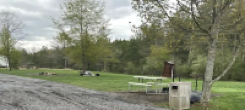 Cabin-style tiny home along best elk viewing road Hotels in Elk County