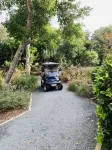 Luxury Getaway on Bald Head Island - August Weeks Available - 5-Star Property