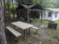 Private, Cozy Cottage in the woods Hotels in Indian Lake