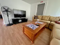 Curly Sunshine – Spacious 4Br, 2Bath Retreat in the Heart of Clearwater, Florida