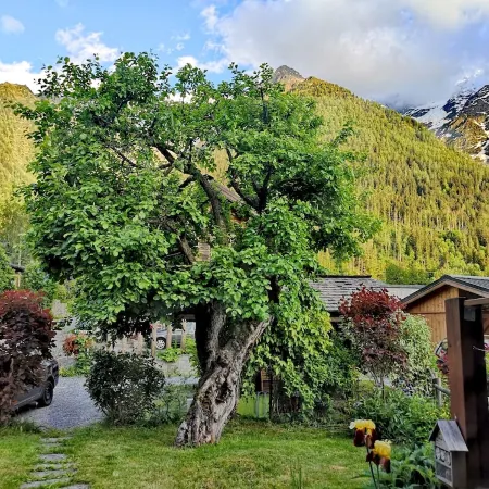 Charming house with views completely refurbished, decor is neat and warm,