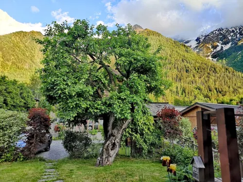 Charming house with views completely refurbished, decor is neat and warm,