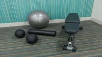Holiday Inn Express & Suites REGINA-SOUTH by IHG - Gym