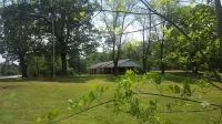 Backyard splendor!!!