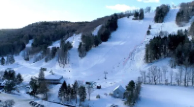 🌺Luxury Estate🌳 25 Gorgeous Acres of Privacy 🌳Family Getaway🌳Swimming Pond🌺