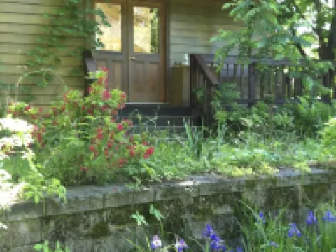 for the creative spirit, swimming dock on pond, horses to pet, Fire pit Hotels in Esopus