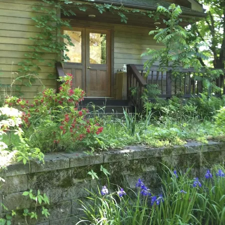 for the creative spirit, swimming dock on pond, horses to pet, Fire pit