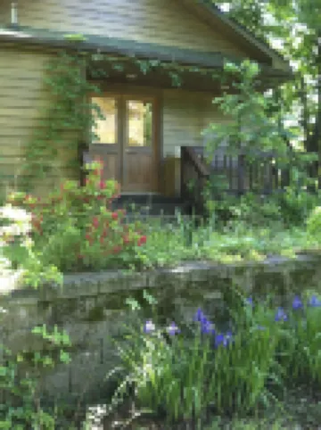 for the creative spirit, swimming dock on pond, horses to pet, Fire pit