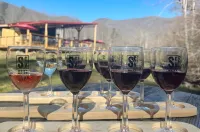 Peaceful Mountain Retreat, Close to Everything, Hot Tub & EV Charger! Hotels in Hiawassee