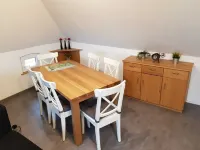 Vacation Sun Summer Winter