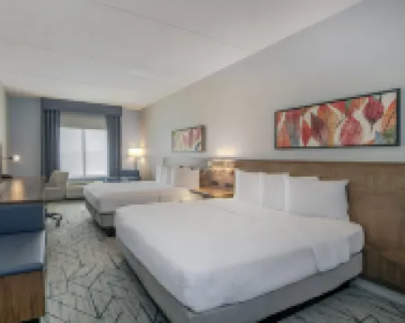 ヒルトン ガーデン イン ローリー - ケーリー