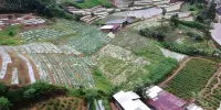 Green View Home Cameron Highlands
