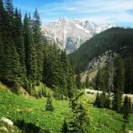 Creekside Cottage - Mountain Lovers Dream Hotel a Cascade-Chipita Park