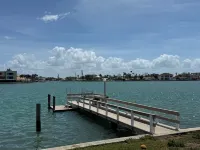 Dolphin & Manatee At Your Back Door!!