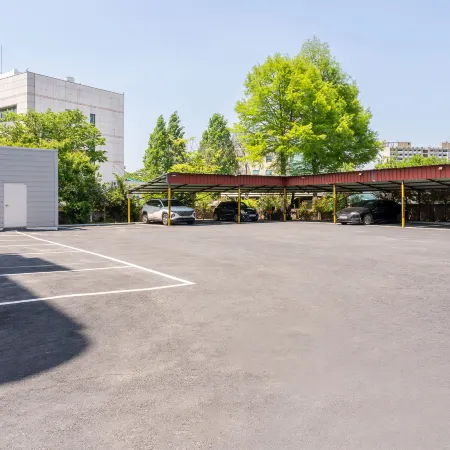 Damyang Brown Dot Jeonnam Damyang Branch