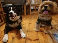 Pension Giovanni Hut Hotel a Hara