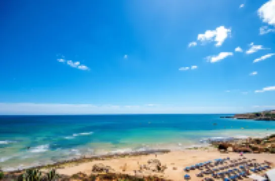 아쿠아 페드레 두스 비쿠스 (성인전용) - 디자인 비치 호텔