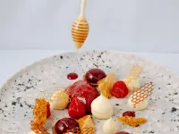 Hôtel Maison Pavlov - Restaurant & Spa - Bordeaux Bouscat Hotels near Bastide