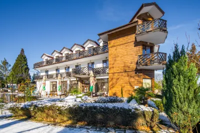 Dolna Bania Hotel Hotels in 