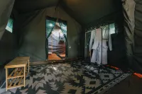 Kruger Untamed - Satara Plains Camp - Campgrounds