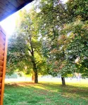 B&B Kanet - servizio colazione
