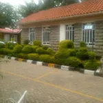 Impala Guest House Hotels near Tinga Town
