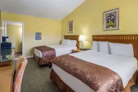 Rodeway Inn - badewanne