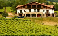 Usotegi Hotels in Getaria