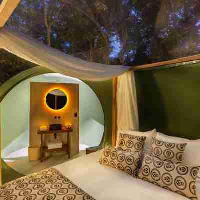 Oom Bubble Boutique Riviera Cancun - Adults Only Rooms