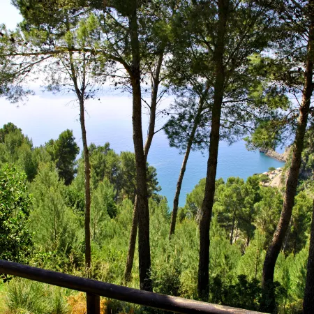 Casa Elly between sea and nature