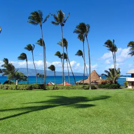 'Oceanfront Maui Condominium' Napili Shores Resort- H-264